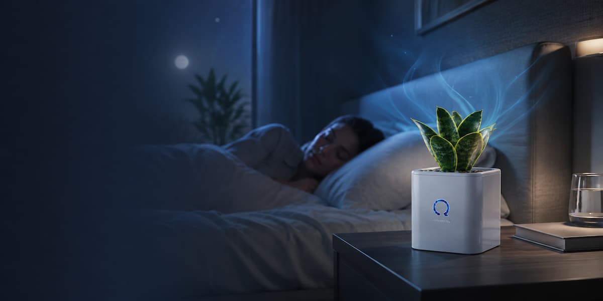 The Architecture of Deep Sleep: How Bedroom Air Quality Controls Your Night